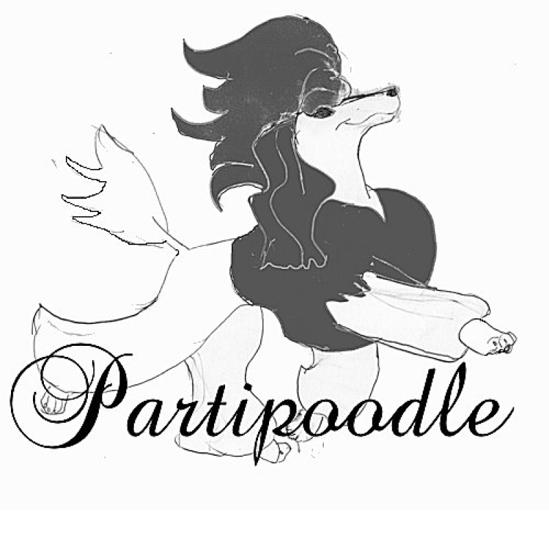 Partipoodle -  of Toy poodlebreeder - Preeders