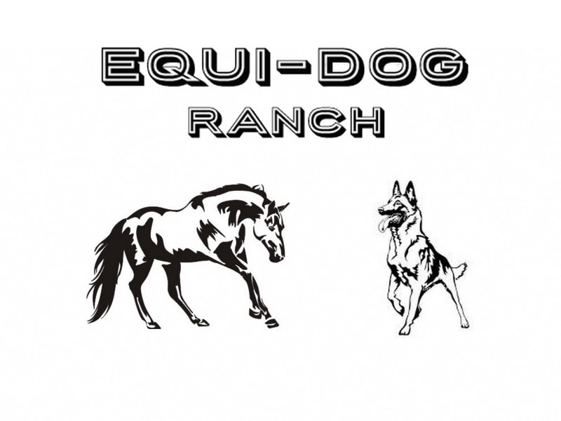 Equidog-Ranch -  van Amerikaans quarterpaardfokker - Preeders