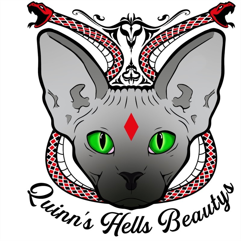 Quinn's Hells Beautys -  van Sphynxfokker - Preeders