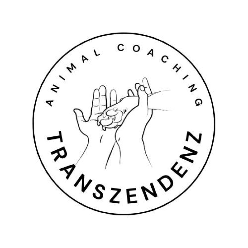 Transzendenz Coaching