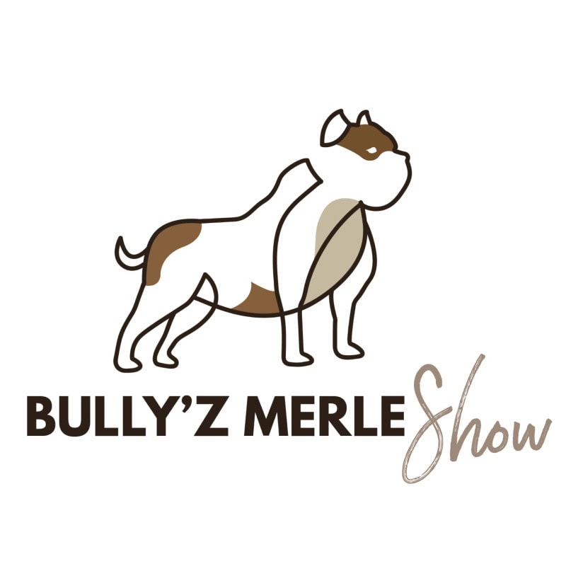 Bully'z merle show 