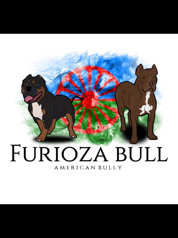 Of furioza bull - Criador de Bulldog inglés - Preeders