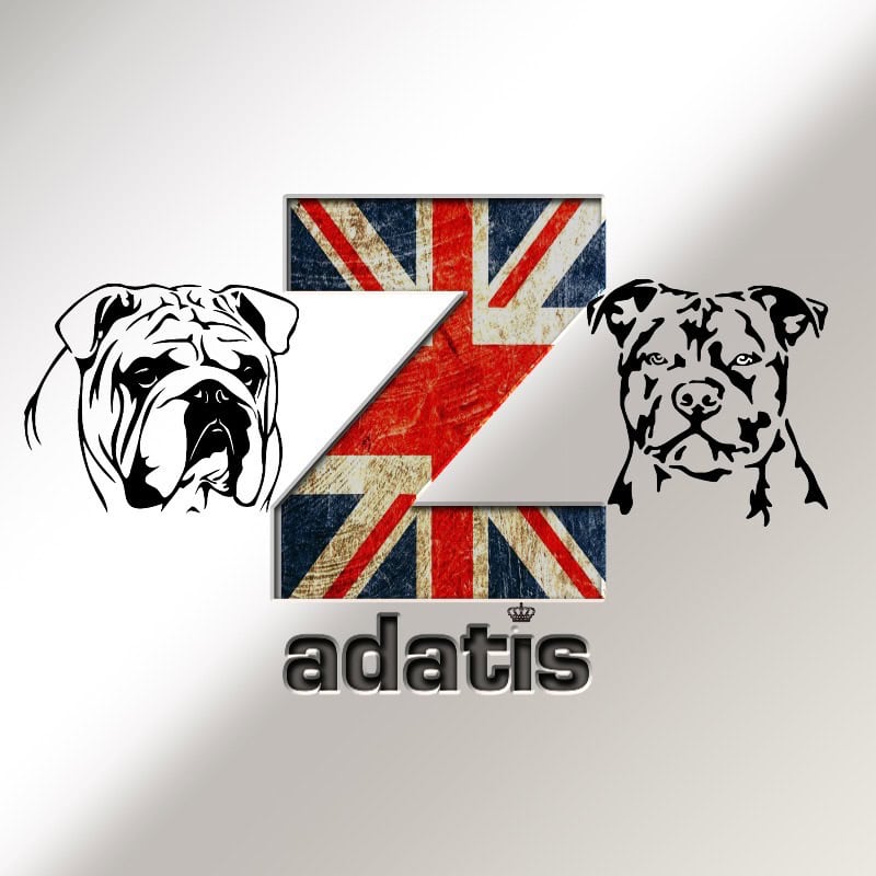 Elevage zadatis - Criador de American staffordshire terrier - Preeders