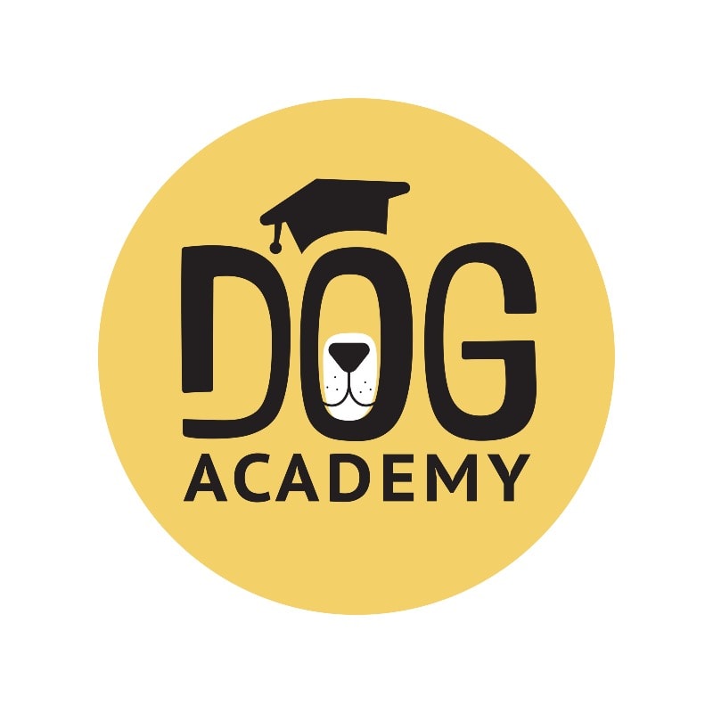 DOG ACADEMY