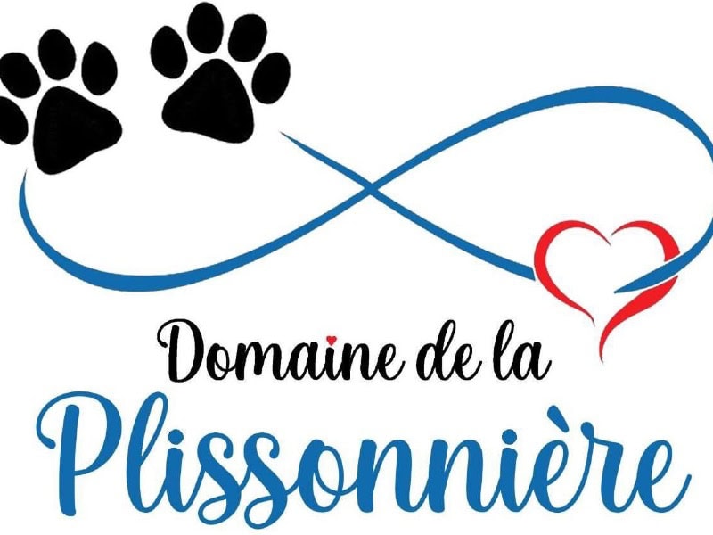 Domaine de la Plissonnière -  of Siberian huskybreeder - Preeders