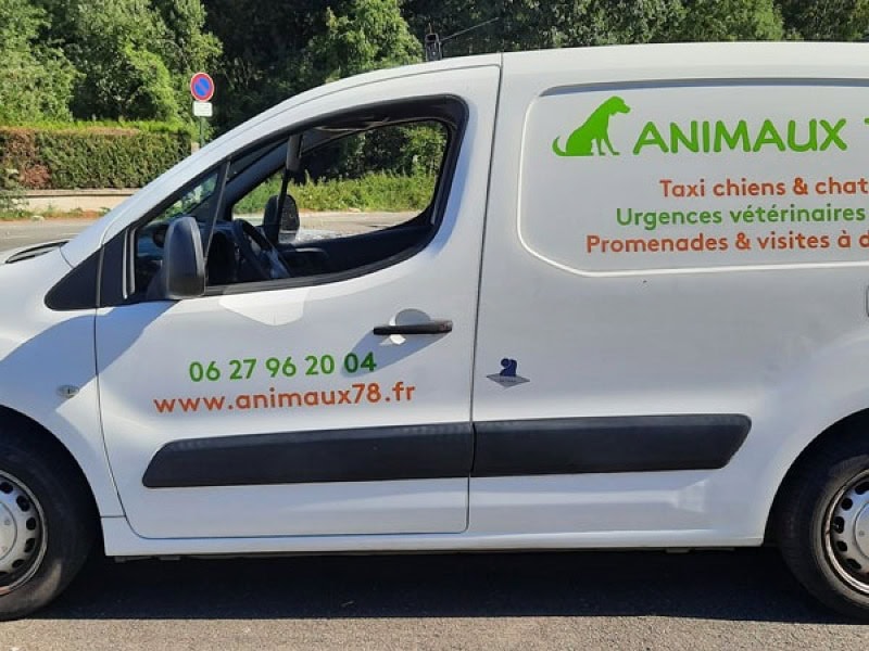 ANIMAUX 78