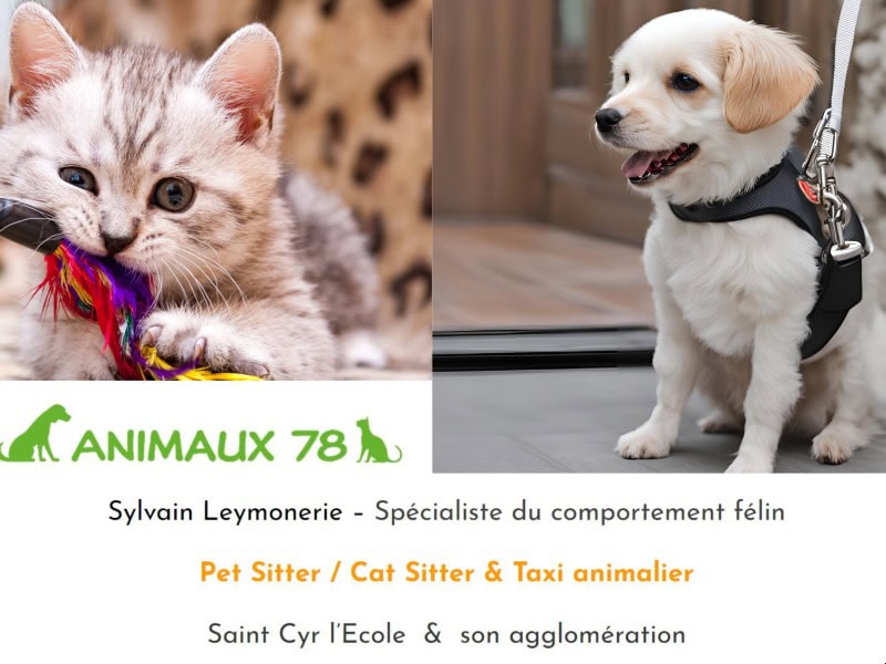 ANIMAUX 78