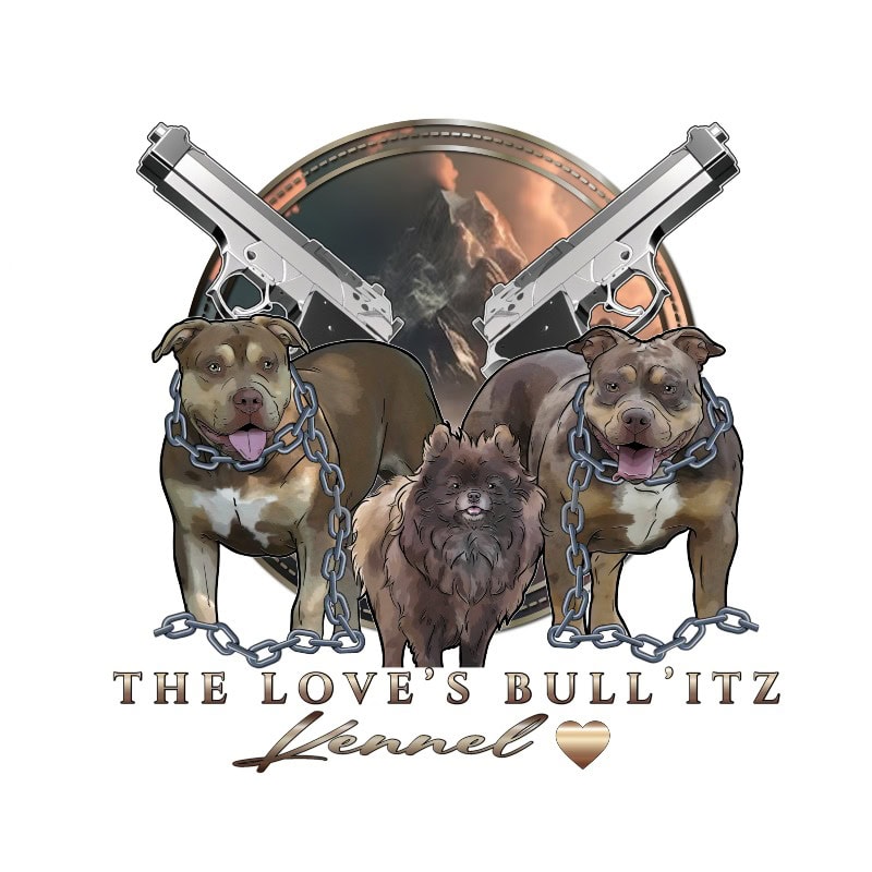 The Love's Bull'itz Kennel ❤️ 