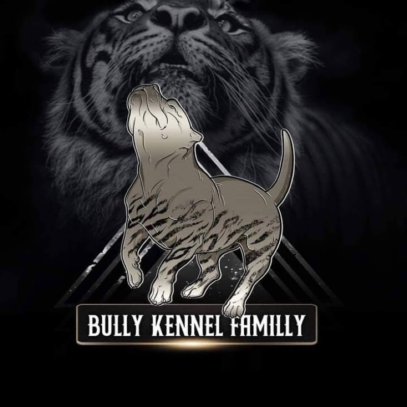 Bully Kennel Familly 