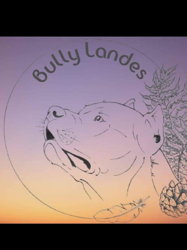 Bully Landes -  vanAmerican bullyfokker - Preeders