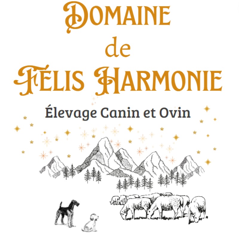 Domaine de Félis Harmonie -  ofEurasianbreeder - Preeders