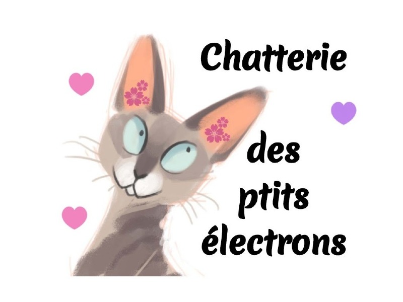 Chatterie des Ptits Électrons -  of Cornish rexbreeder - Preeders